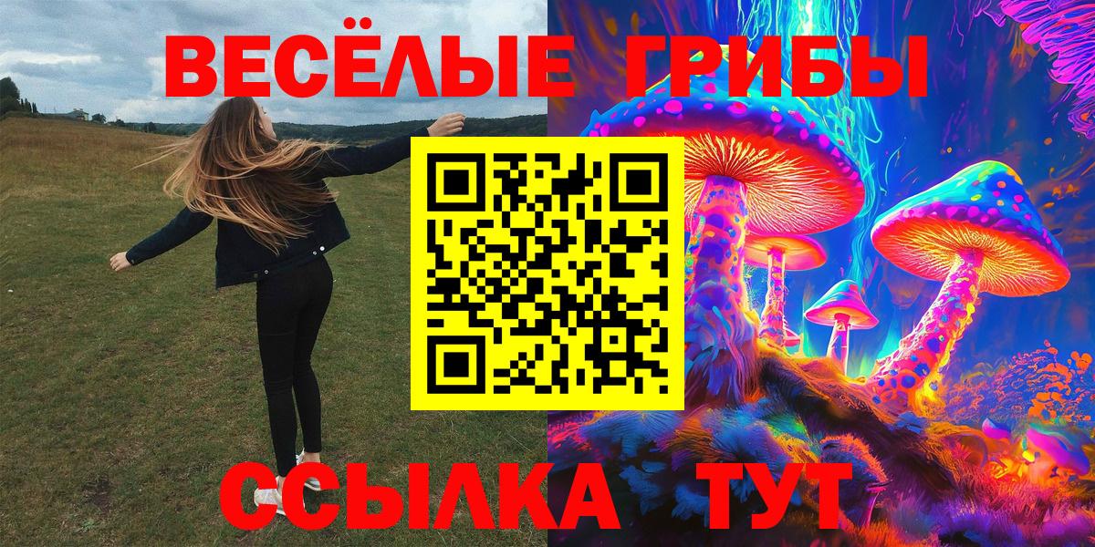 Псилоцибиновые грибы Magic Shrooms Коммунар
