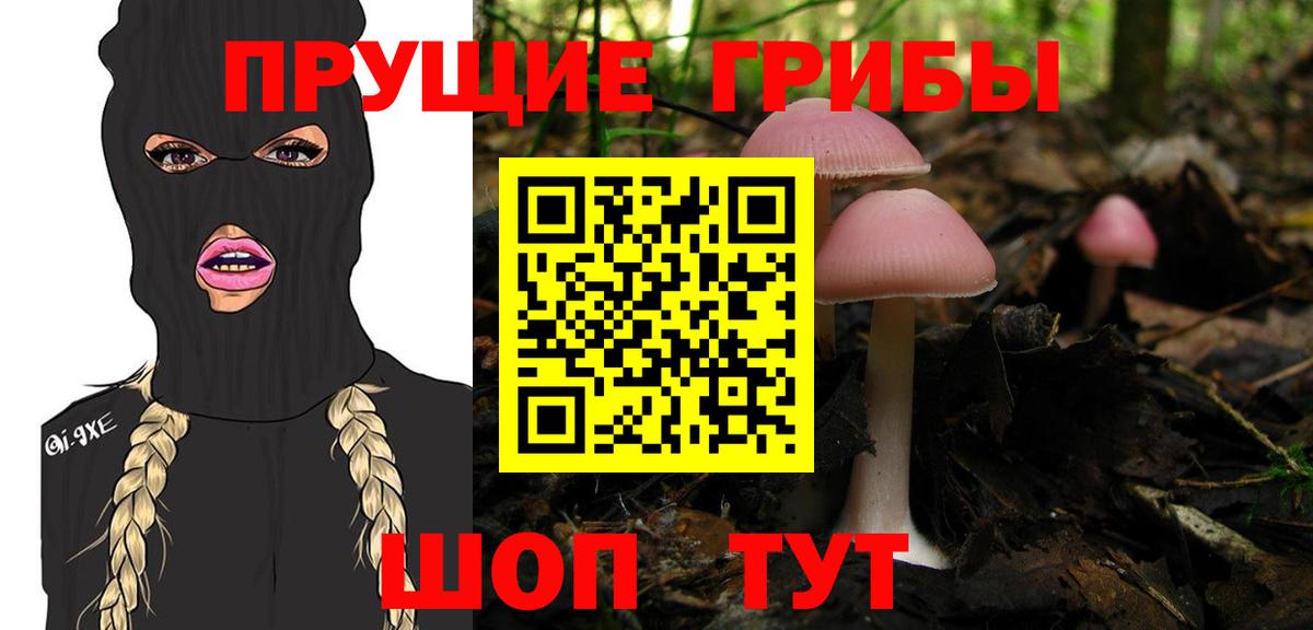 Галлюциногенные грибы Psilocybine cubensis  сколько стоит  Коммунар  Галлюциногенные грибы Magic Shrooms  Вход с VPN 